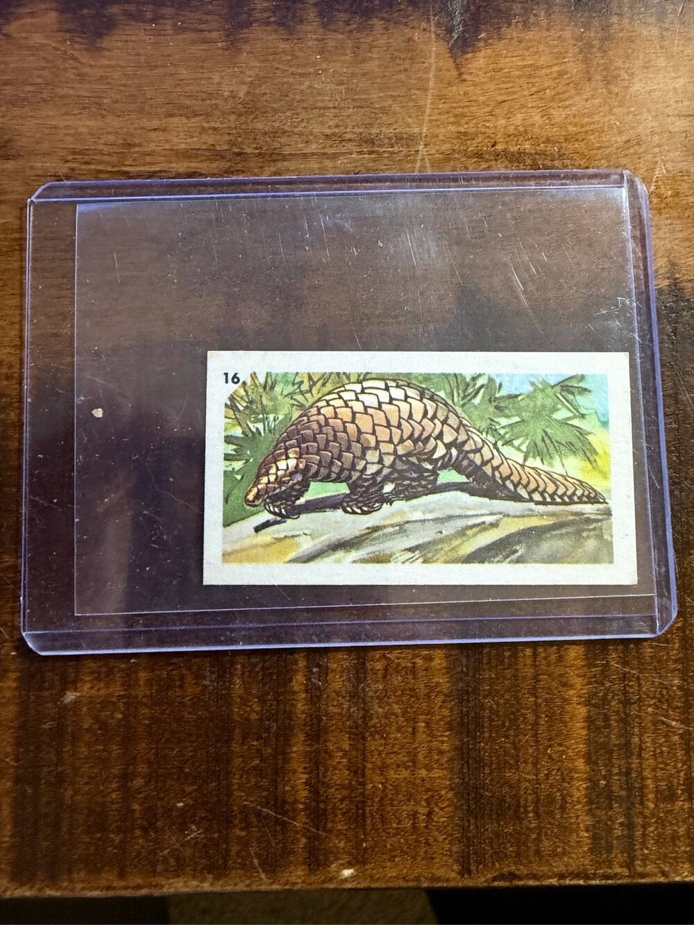1958 Nabisco Canada Exotic Animals Food Issue Pangolin Card #16